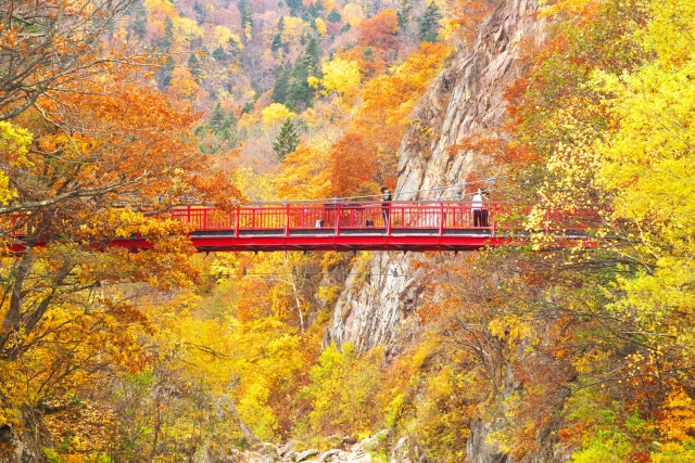 晩秋の定山渓と二見吊橋|フランクさま
